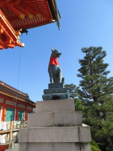 fushimi inari fox