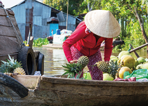 mekong delta cruise