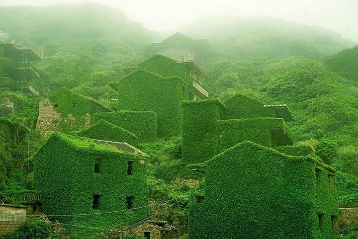 abandoned village overtaken by nature