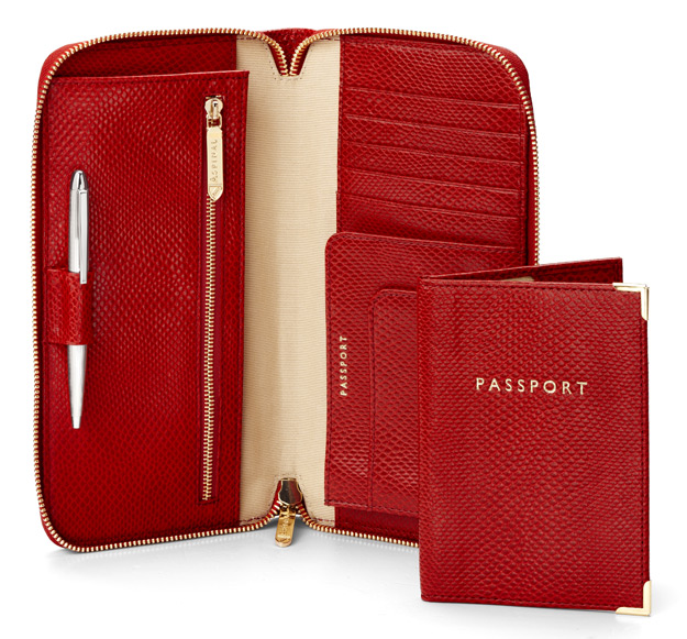 travel wallet passport holder