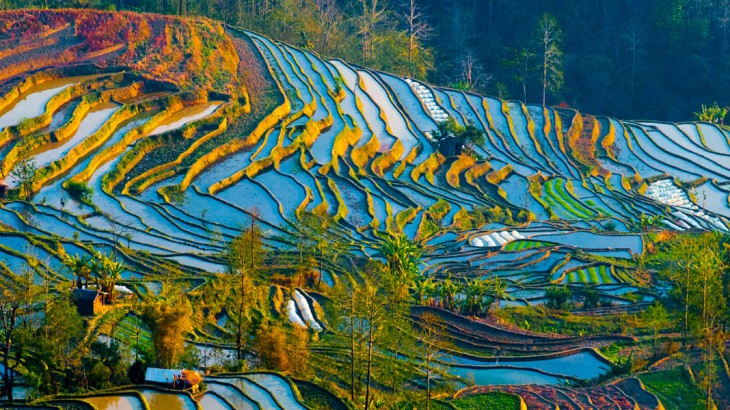 yuangyang rice terraces in China