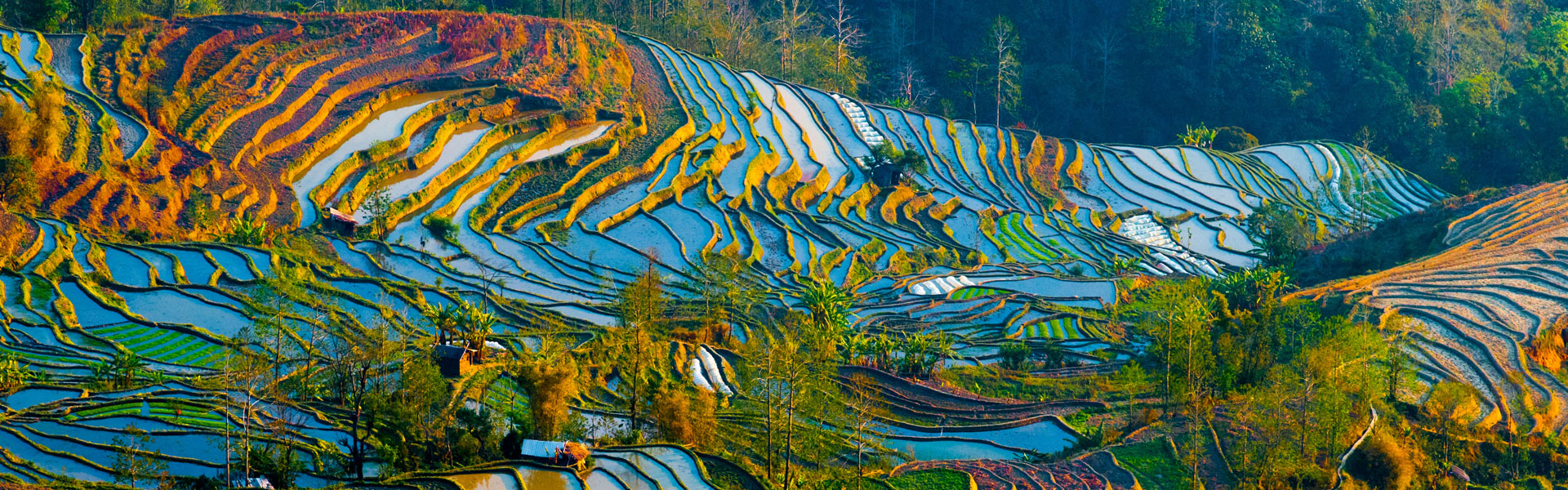 yuangyang rice terraces in China