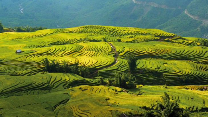 trek in vietnam