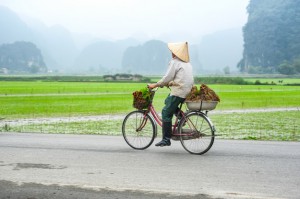 cycling in vietnam