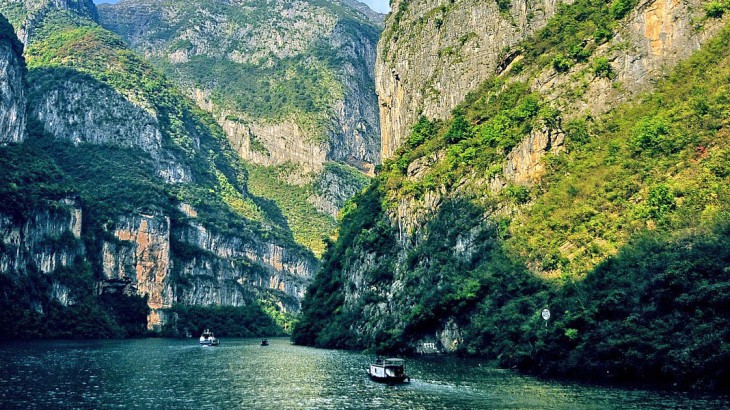 wildlife along the yangtze river