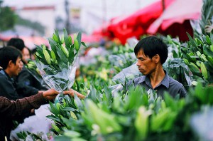 quang ba flower market