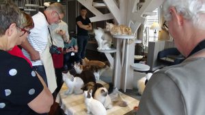 Tokyo Cat Cafe