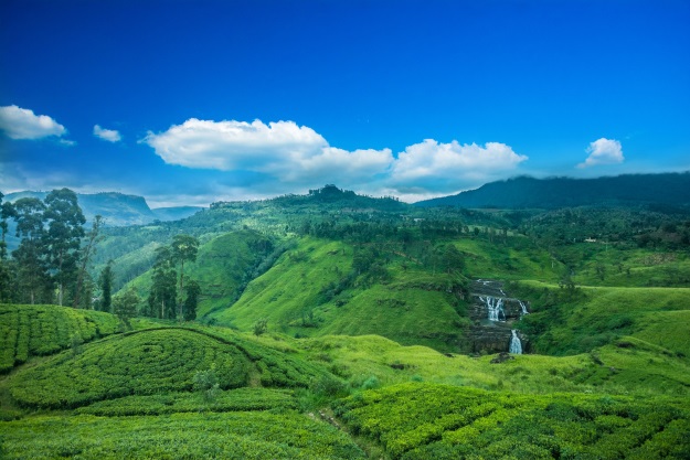 Nuwara Eliya, Hill Country, Sri Lanka