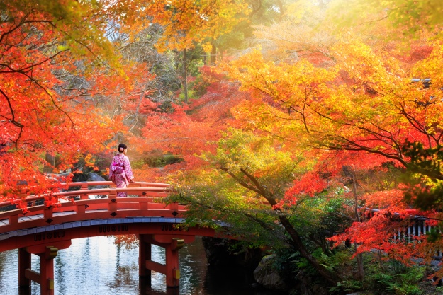 Japan in the Autumn