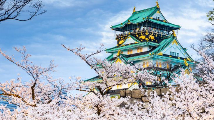 Cherry blossoms around Osaka Castle.