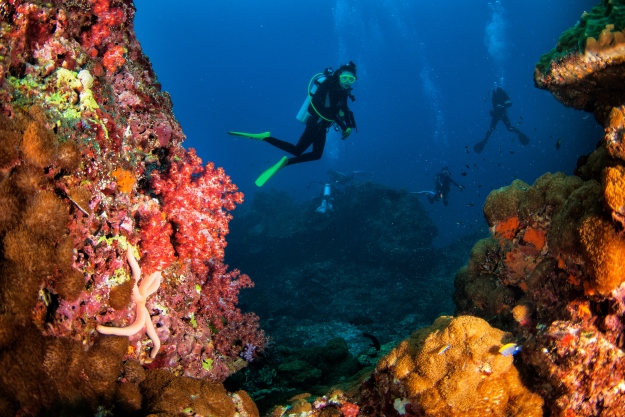 Scuba diving in Andaman Islands