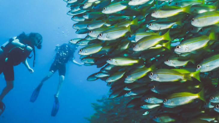 Scuba diving in Asia