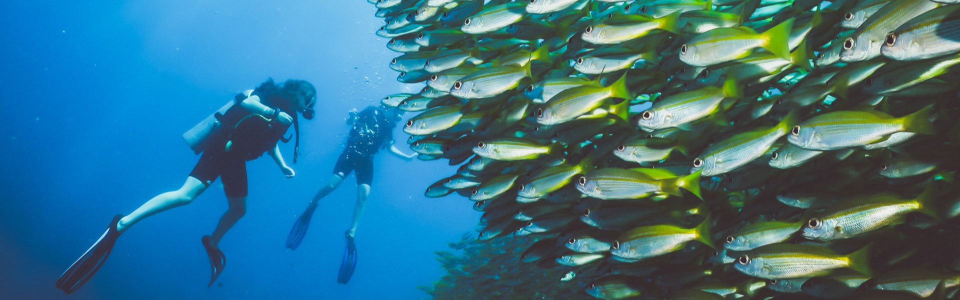 Best diving destinations in Asia