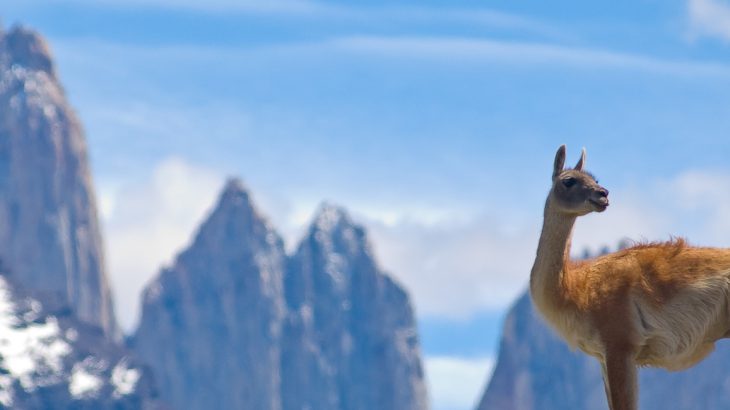 Torres del Paine