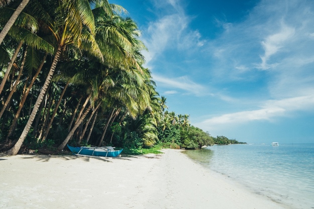 Scuba Diving in the Philippines