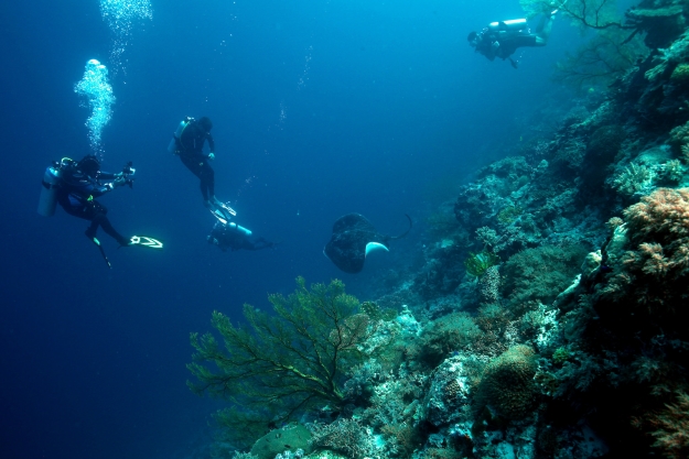 Tubbataha Reef