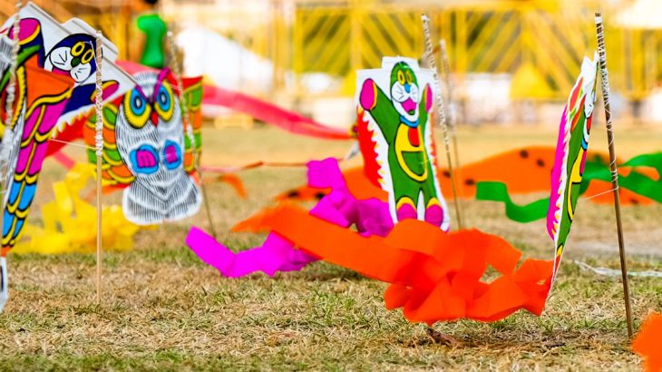 Colourful kites