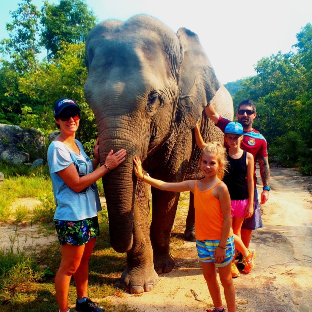 Elephant at Phnom Tamao