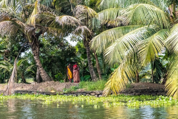 Local life on Kerala's backwaters