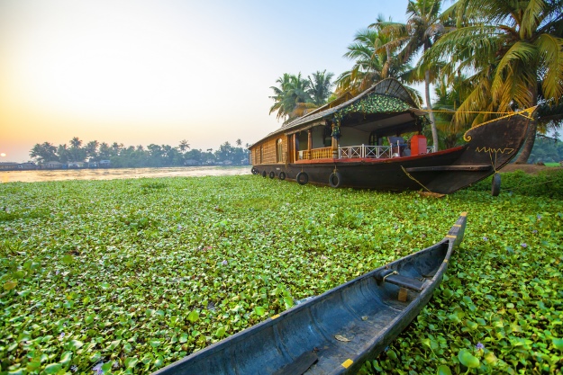 Boats on Kerala Backwaters