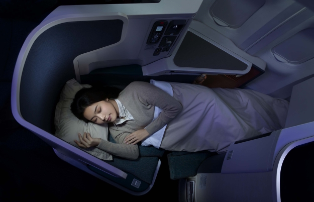 Woman asleep on a plane