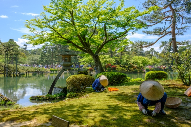 Gardeners at work in a traditional Japanese garden