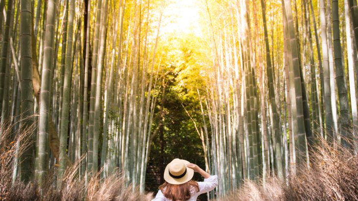 Woman in bamboo forest in Kyoto