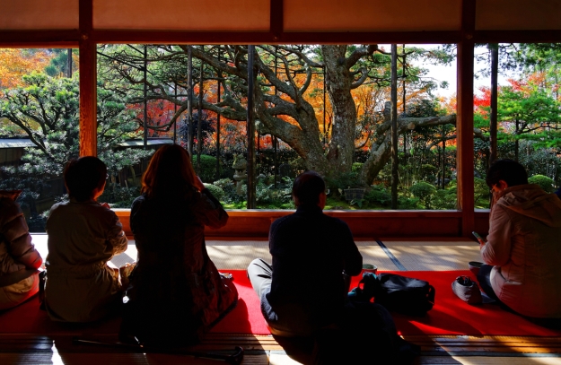 Tourists enjoying a tea ceremony looking over an autumnal garden