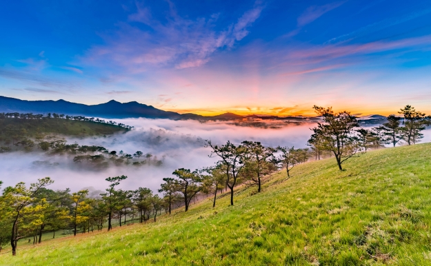 The mist-filled valleys of Dalat at sunrise 