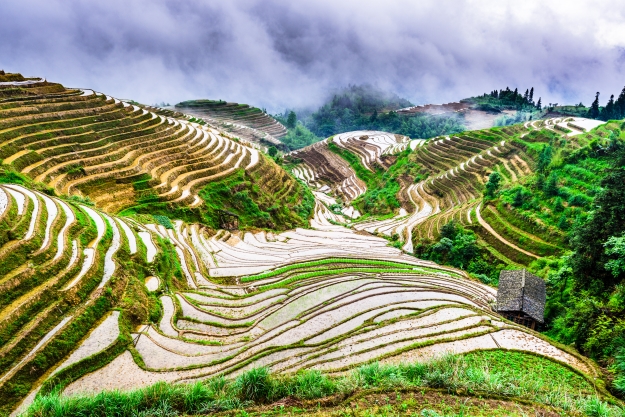 Misty view over the Longji Rice Terraces