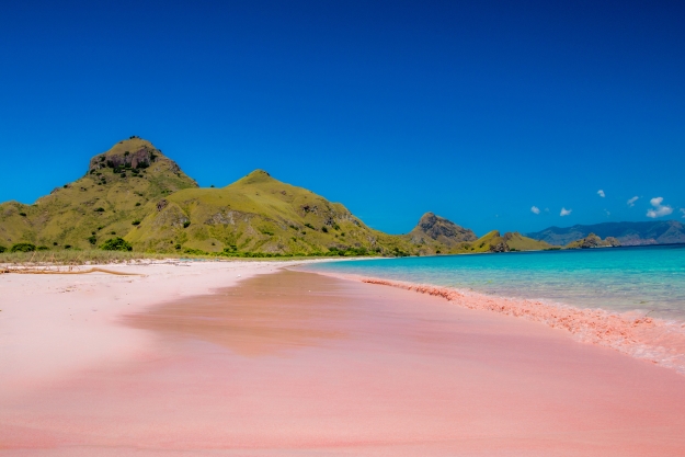 The pink beaches of Flores, Komodo National Park