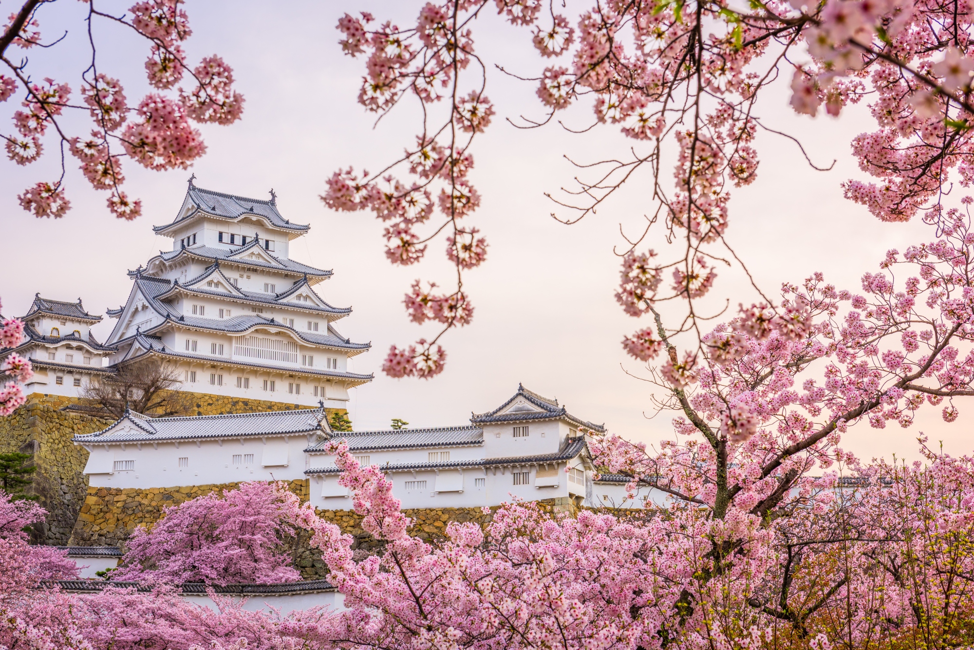 Spotlight On Himeji Castle, Japan