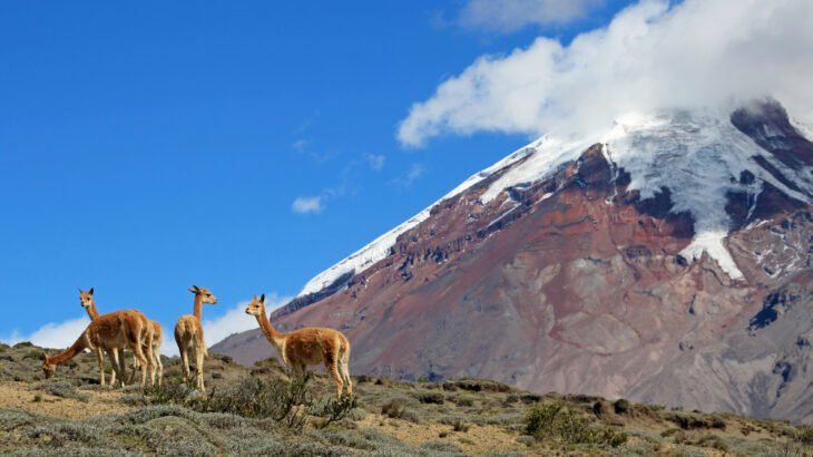 Ecuador