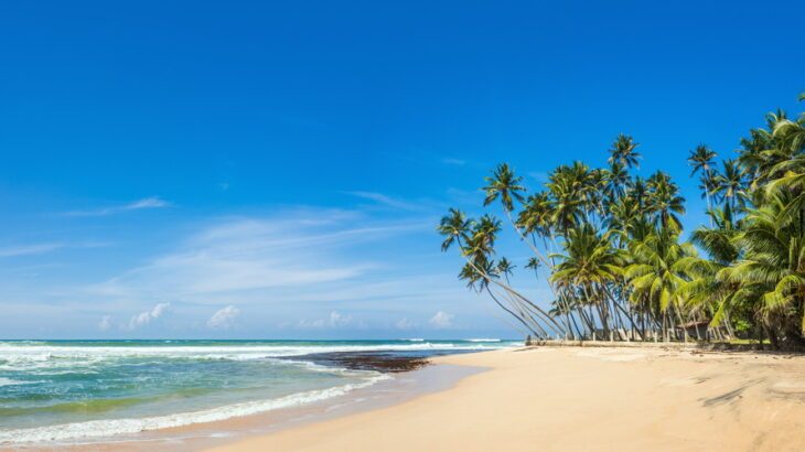 Tropical beach in Sri Lanka with yellow sand, palm trees and turquoise waters