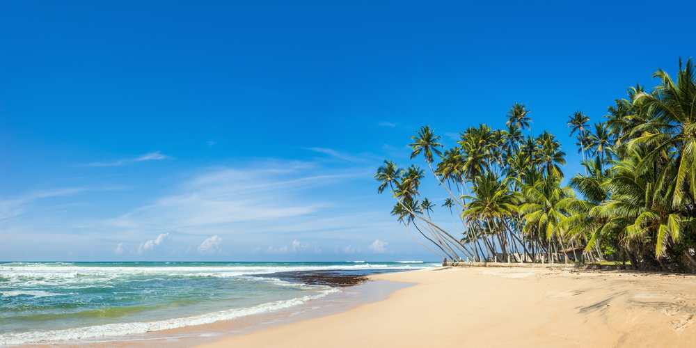 Tropical beach in Sri Lanka with yellow sand, palm trees and turquoise waters