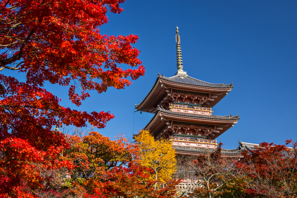 Every spring japan is covered in cherry blossoms краткий пересказ