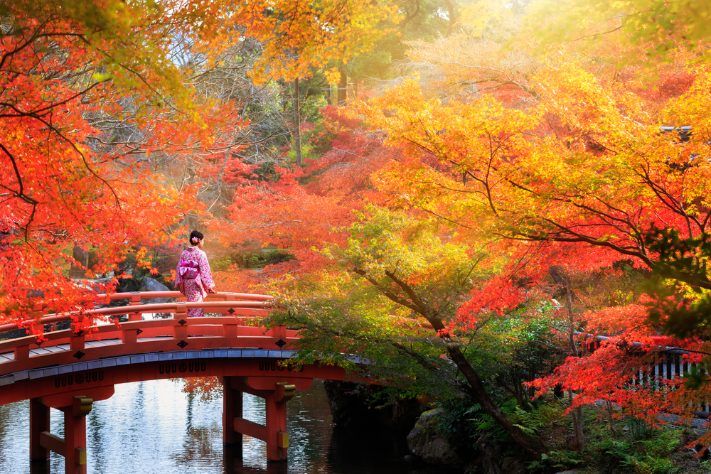 Every spring japan is covered in cherry blossoms краткий пересказ