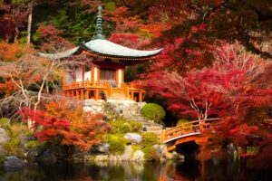 Japanese garden in autumn