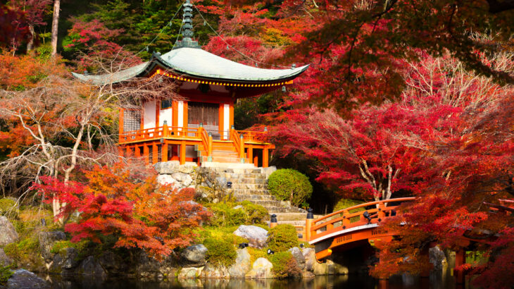 Japanese garden in autumn