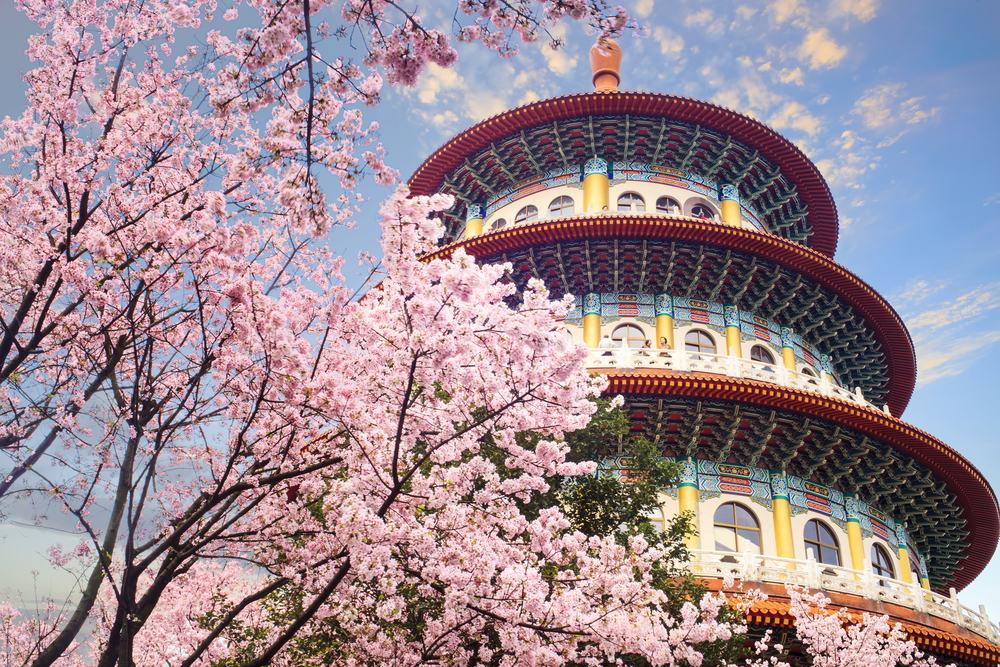 Cherry blossoms in full bloom frame the colorful multi-tiered pagoda of Tien Yuan Temple in Taiwan.