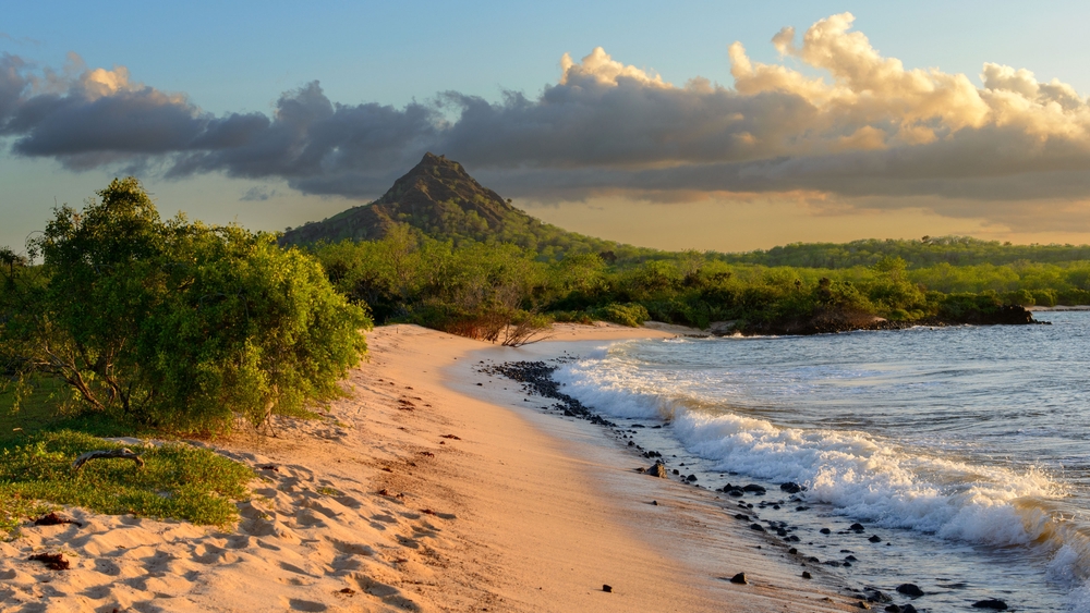 Golden sand curves along a quiet Galápagos beach as waves roll in, backed by lush green vegetation and a volcanic hill under a glowing sunset sky.