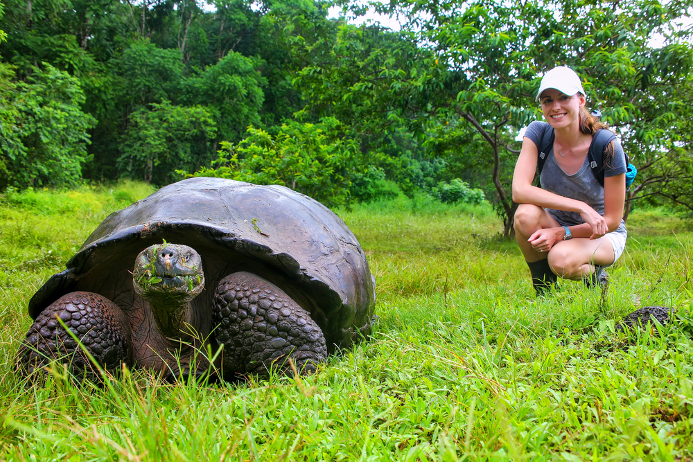 A smiling hiker kneels beside a massive Galápagos giant tortoise grazing in green grass, surrounded by dense forest in a peaceful natural setting.