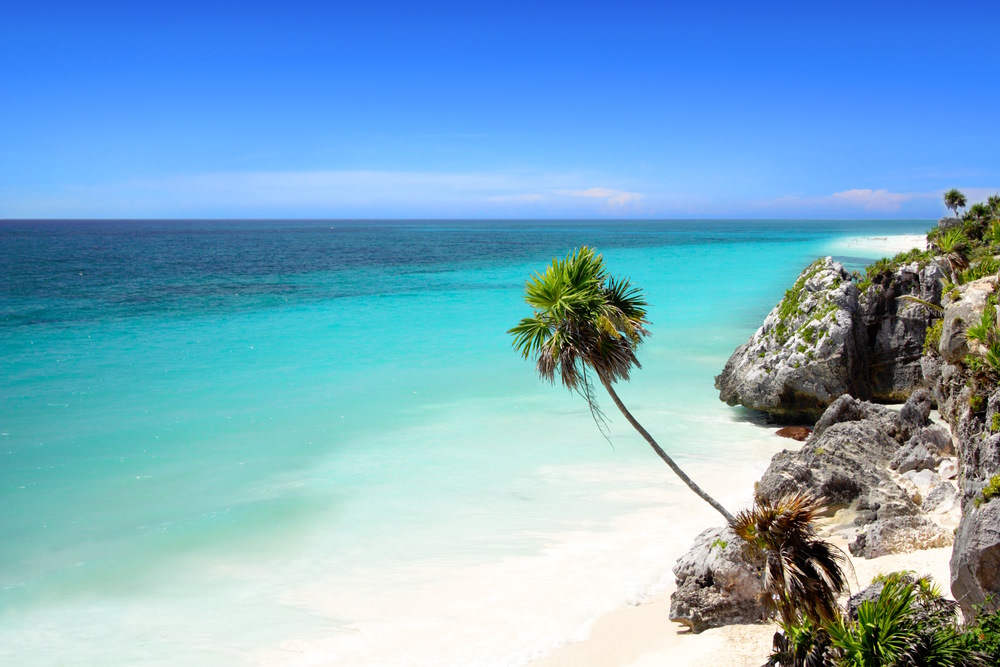 Turquoise Caribbean waters meet a white sand beach and rocky shoreline, with a leaning palm tree beneath a clear blue tropical sky.