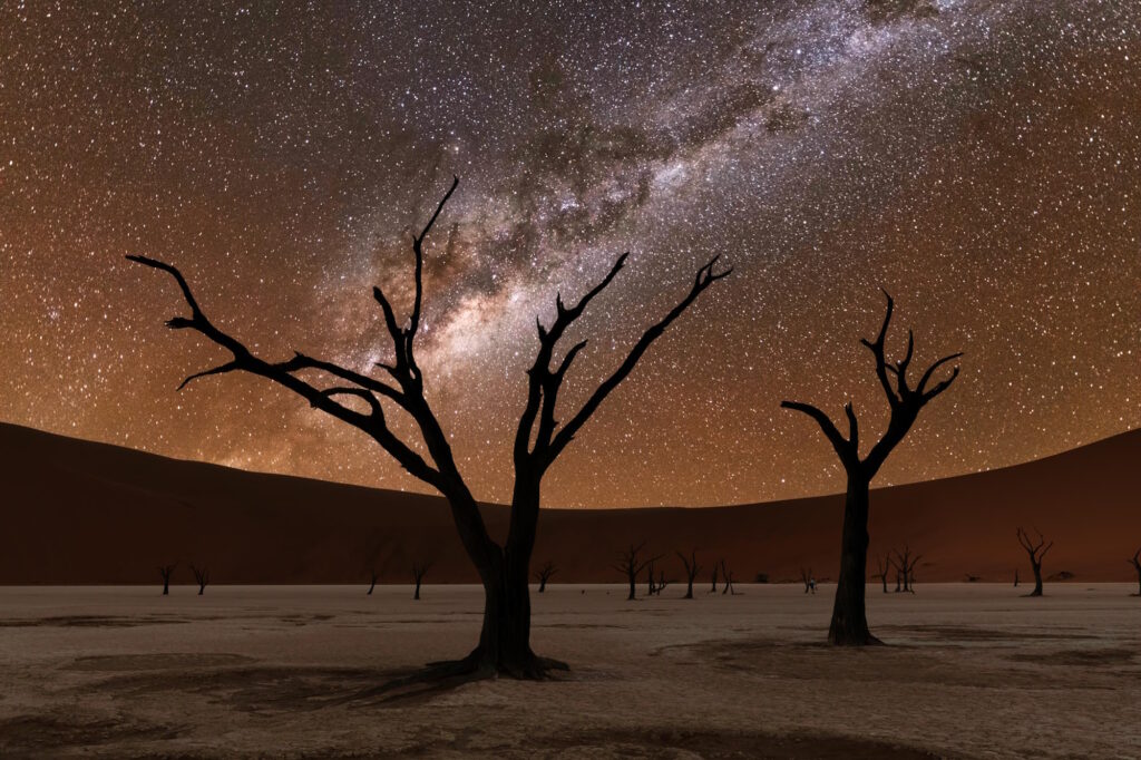 A resplendant night sky, with the Milky Way visible, over the famous trees of the Deadvlei salt pan and sand dune of the Namib Desert.