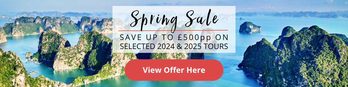 Spring Sale