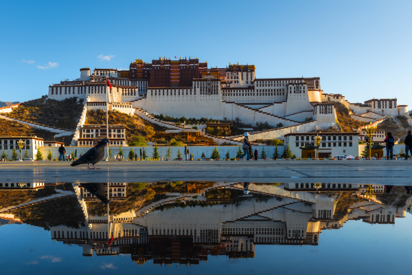 China & Tibet Discovery