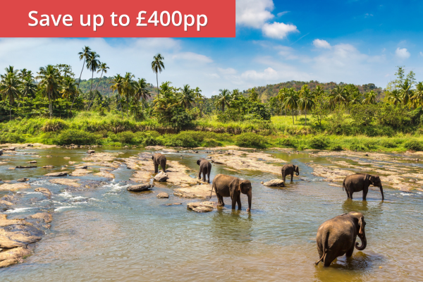 Highlights of Sri Lanka