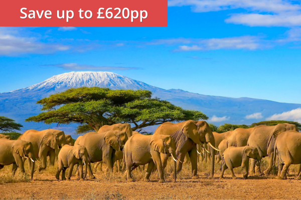 Treasures of Kenya & Tanzania