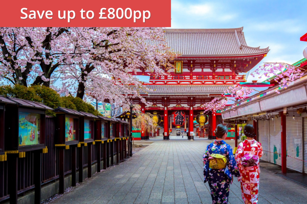 Japan Uncovered