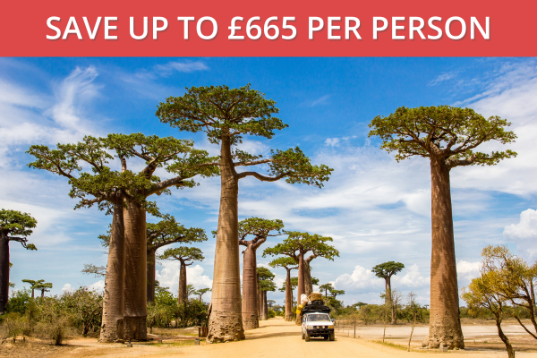 Madagascar Untamed